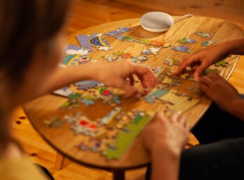 Smart+ Puzzle Google Nest mini