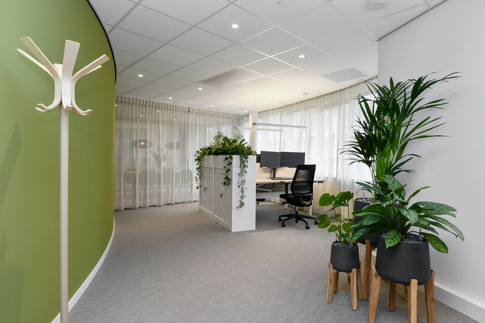 Parkering i beste belysning