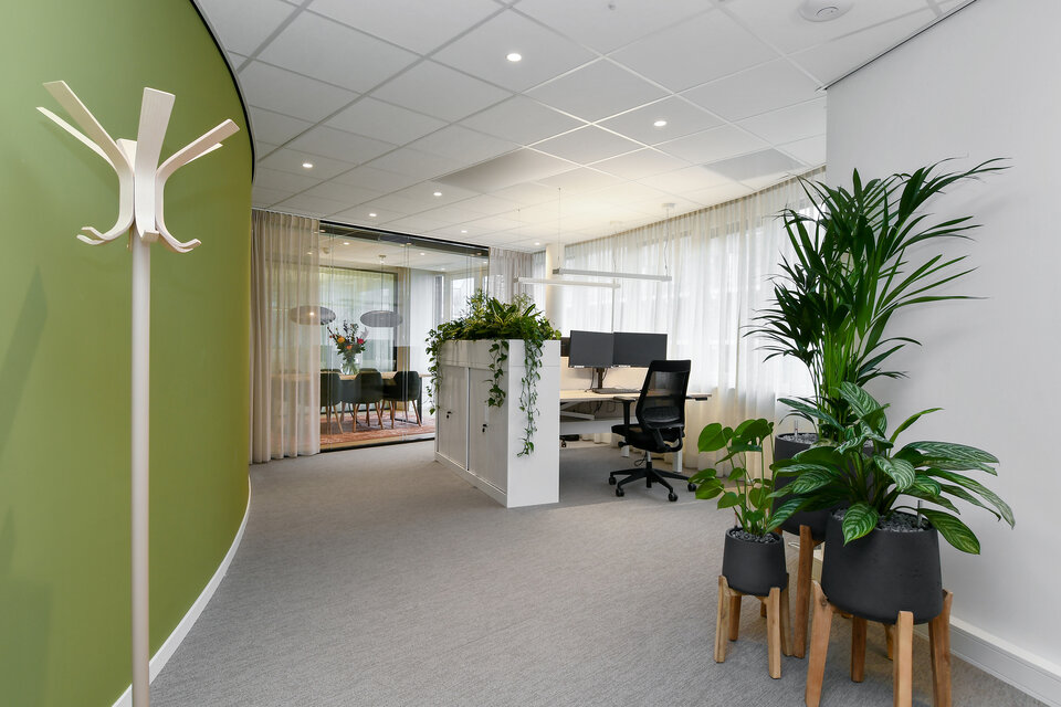 Parkering i beste belysning