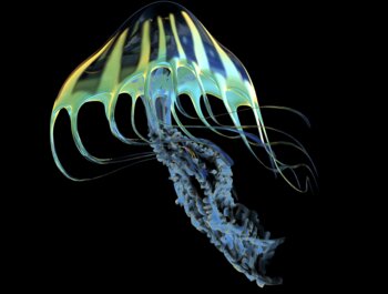  A bioluminescent Jellyfish. 