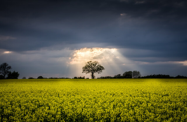 LEDVANCE launches NATURELOOP product range with recycled materials 