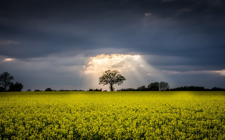 LEDVANCE launches NATURELOOP product range with recycled materials 